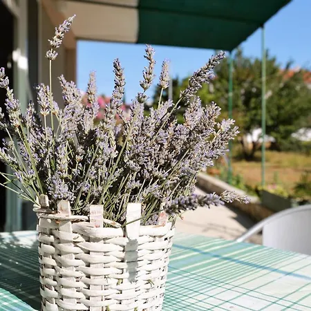 Slanica Apartamento