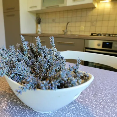 Slanica Апартаменты Муртер