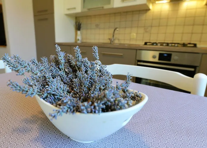 Slanica Apartment Murter